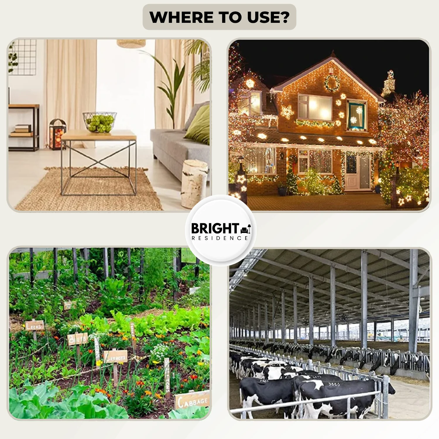 50% DISCOUNT | Flip & Slide™ - Catch pests the pet-friendly way! - Image 4