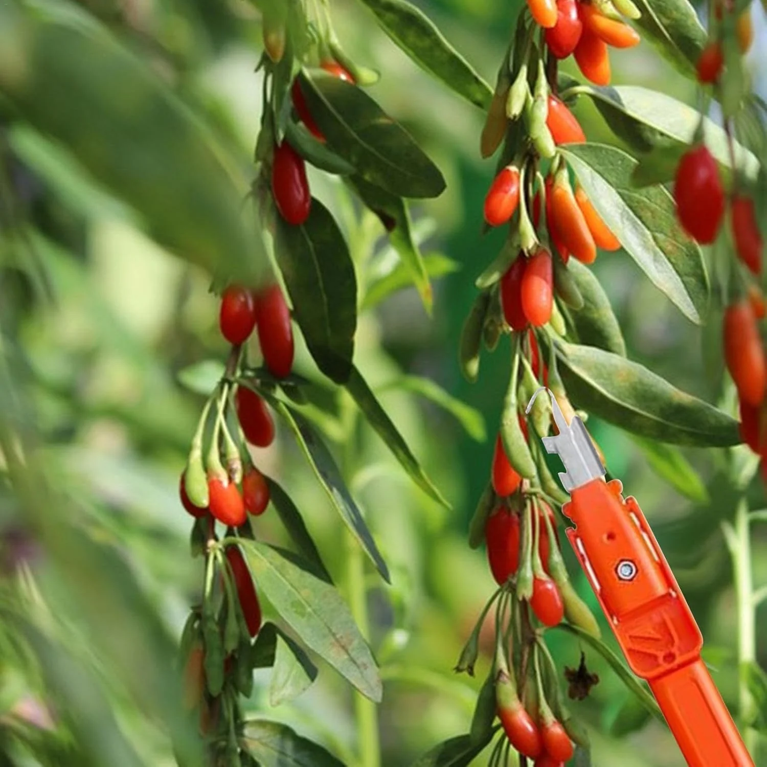 AgroEase – Harvesting & Cutting Made Easy - Image 3