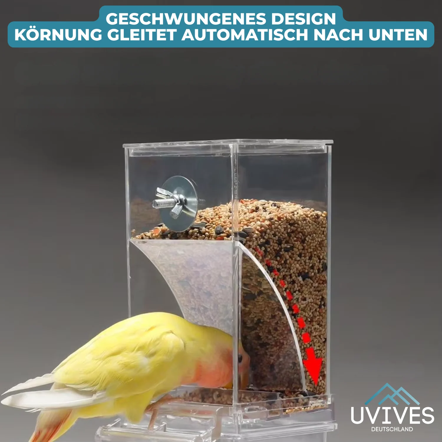 BirdFeed - Clean feeding, happy birds, less effort - Image 3