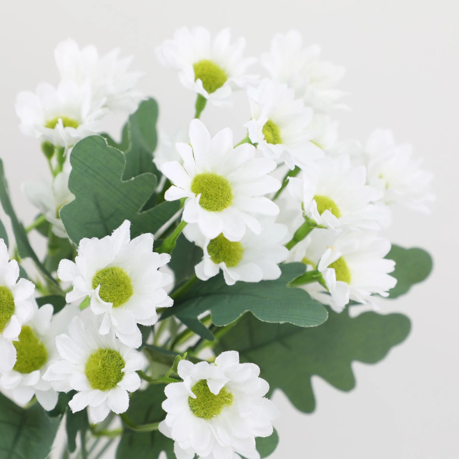 2+1 FREE | BloomoraSunset – Autumnal Splendor That Never Fades - Image 6