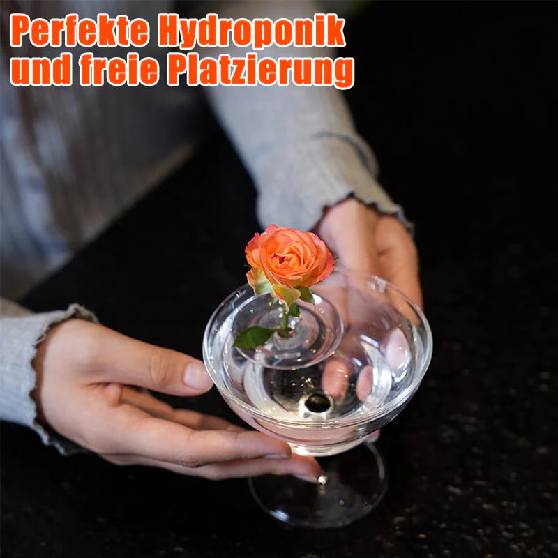 5+5 FREE | BloomRise – Keeps Flowers Immediately Perfectly Upright and Beautiful - Image 4