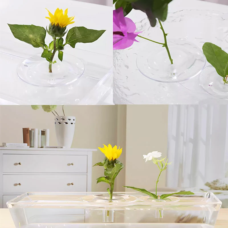 5+5 FREE | BloomRise – Keeps Flowers Immediately Perfectly Upright and Beautiful - Image 9