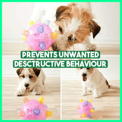 BounceBark - The ball that banishes boredom - Image 6