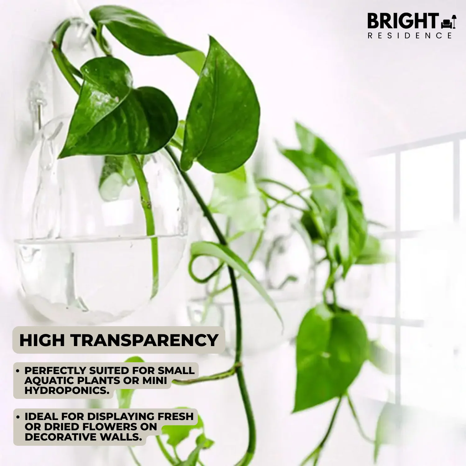 1+1 FREE | FlowerCrest - Creative vase for wall mounting - Image 4