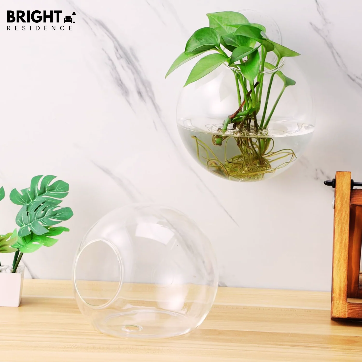 1+1 FREE | FlowerCrest - Creative vase for wall mounting - Image 6