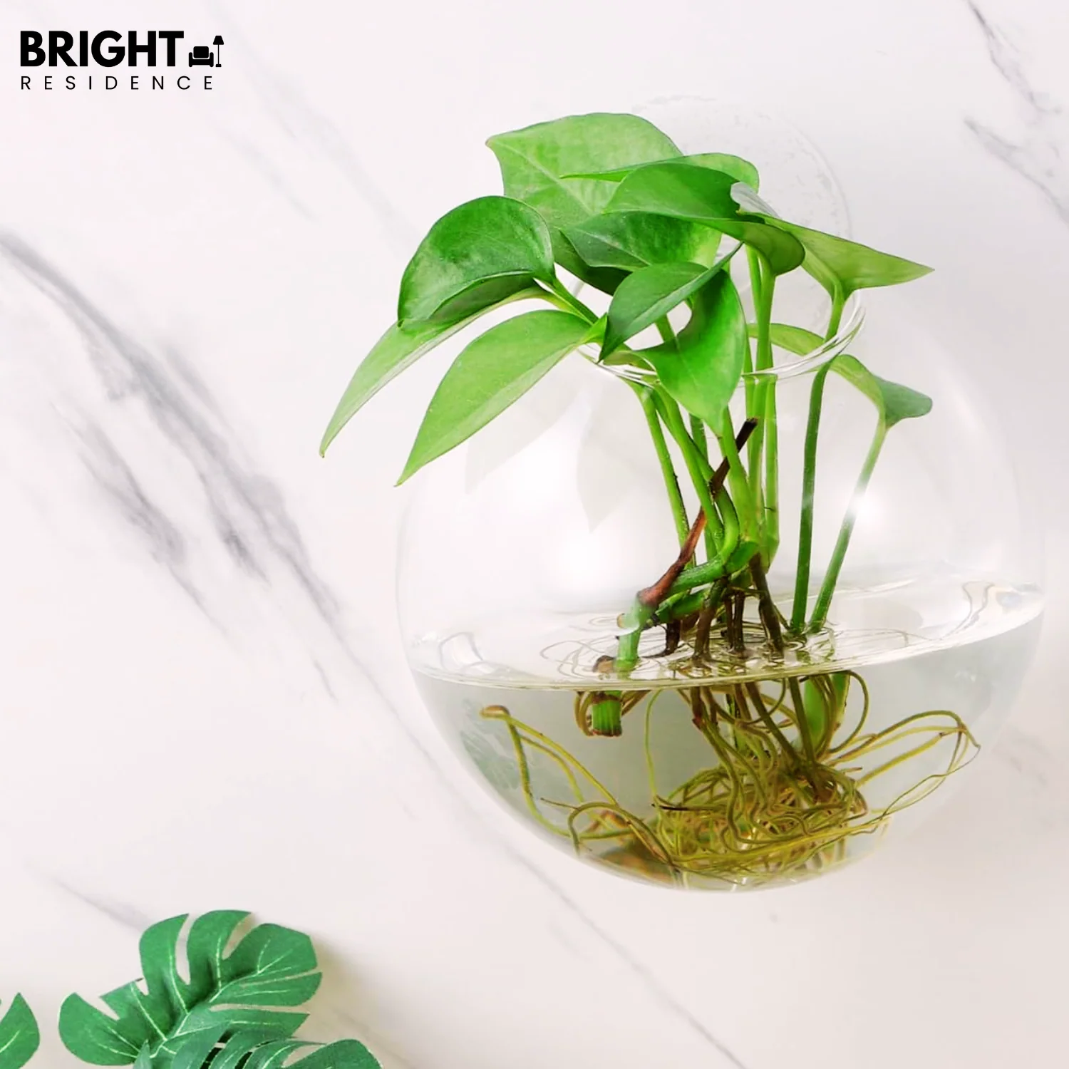 1+1 FREE | FlowerCrest - Creative vase for wall mounting - Image 8