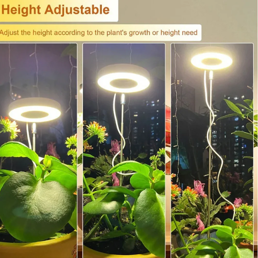 GlowGro – Keep Your Houseplants Healthy and Vital All Year Round - Image 10