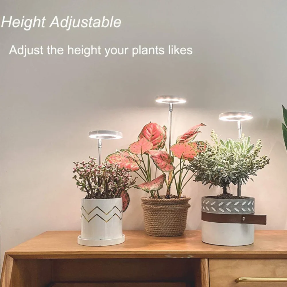 GlowGro – Keep Your Houseplants Healthy and Vital All Year Round - Image 11