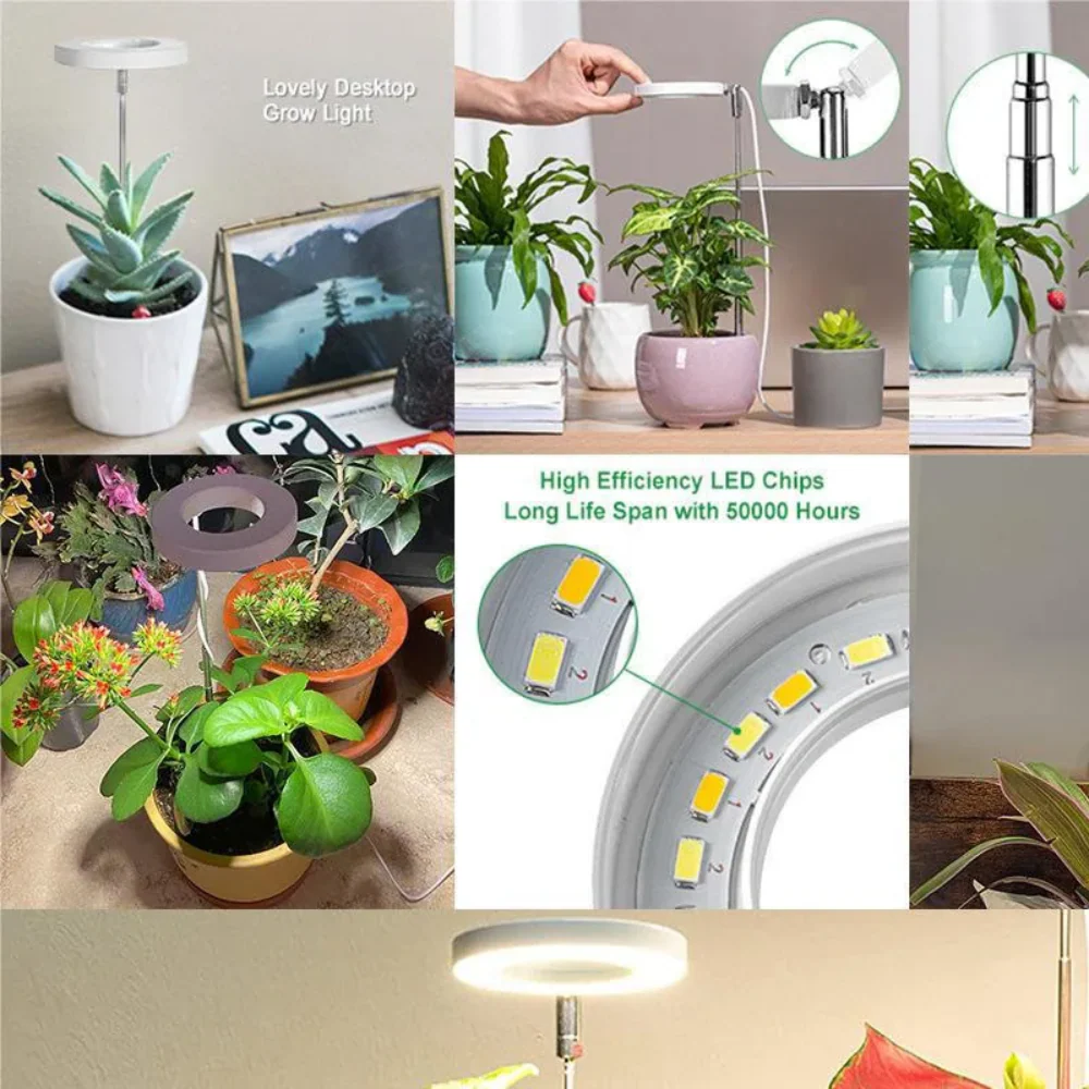 GlowGro – Keep Your Houseplants Healthy and Vital All Year Round - Image 12