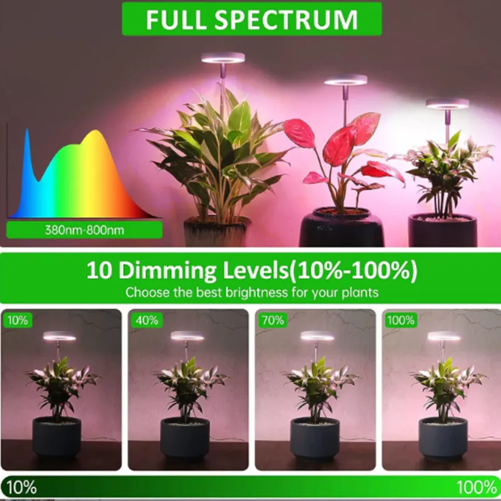 GlowGro – Keep Your Houseplants Healthy and Vital All Year Round - Image 13