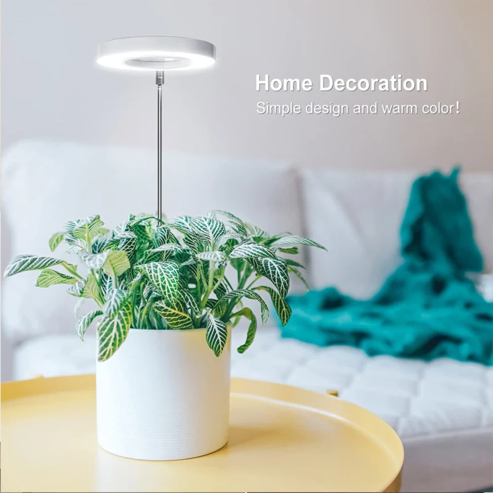 GlowGro – Keep Your Houseplants Healthy and Vital All Year Round - Image 3