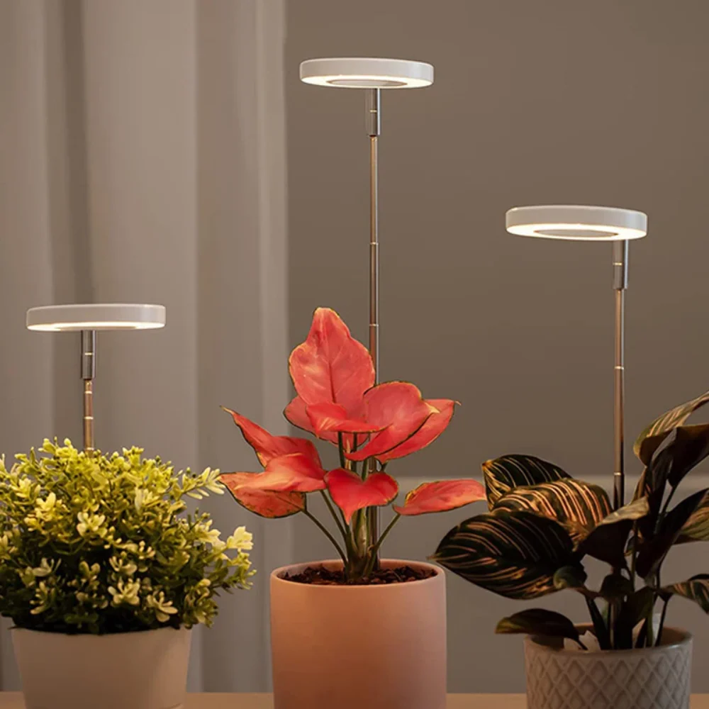 GlowGro – Keep Your Houseplants Healthy and Vital All Year Round - Image 4