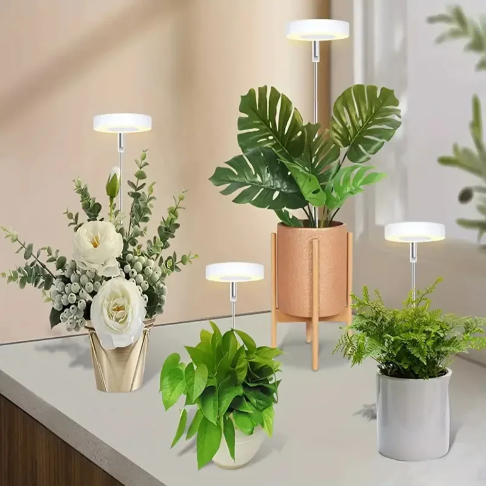GlowGro – Keep Your Houseplants Healthy and Vital All Year Round - Image 5