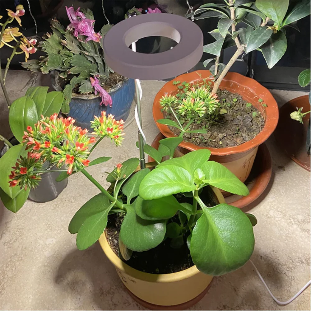 GlowGro – Keep Your Houseplants Healthy and Vital All Year Round - Image 6