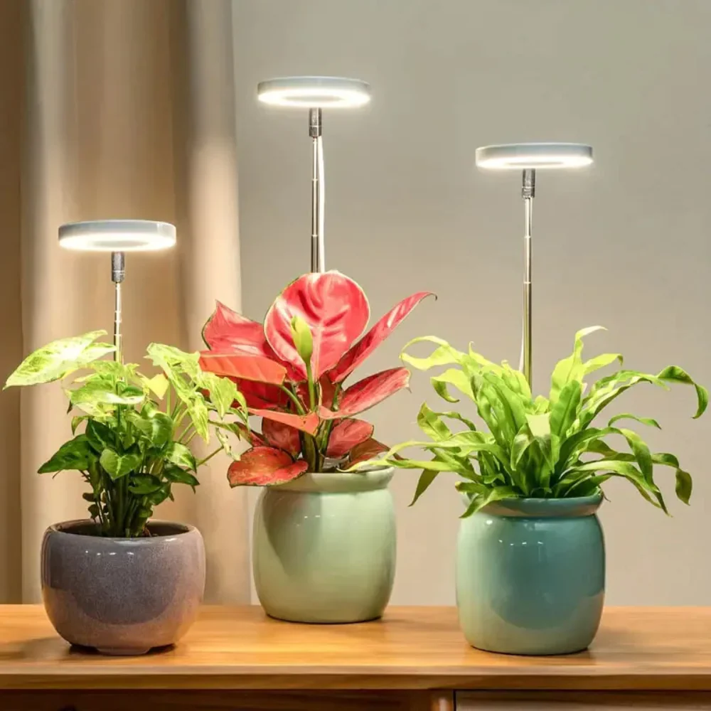 GlowGro – Keep Your Houseplants Healthy and Vital All Year Round - Image 8