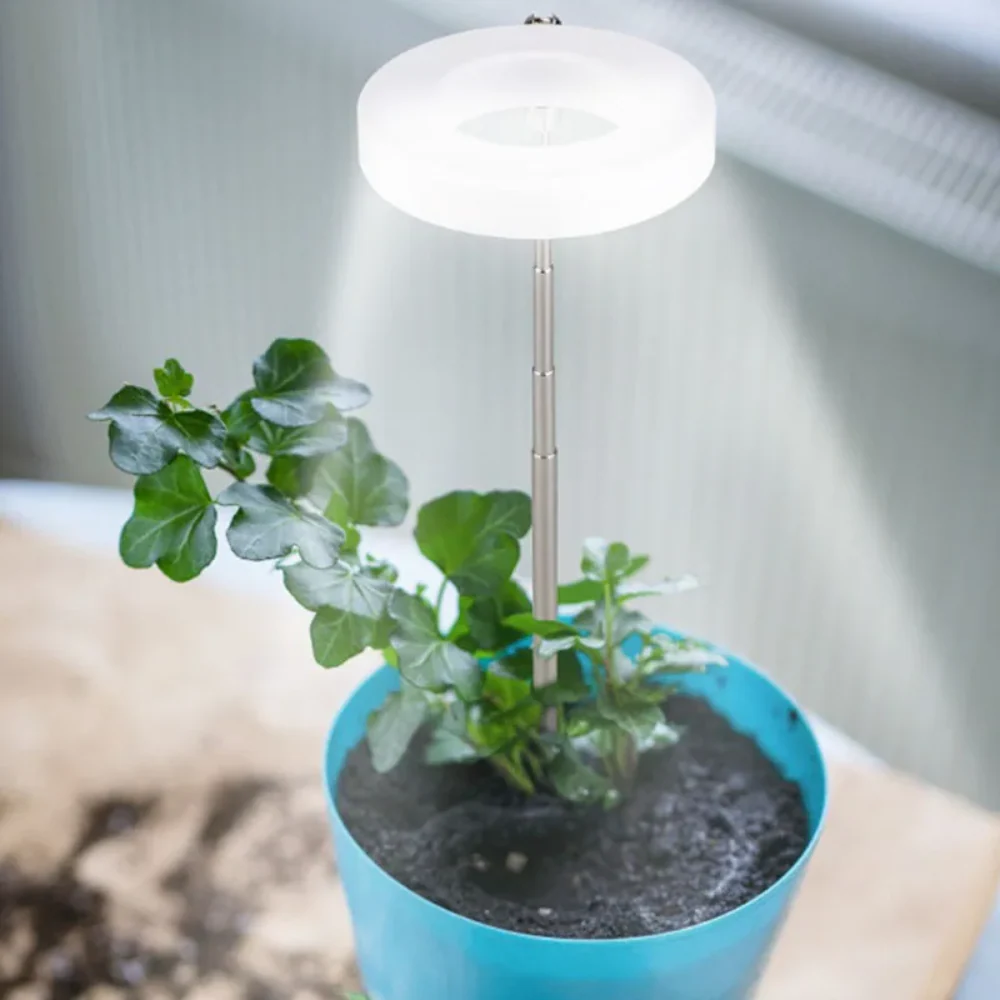 GlowGro – Keep Your Houseplants Healthy and Vital All Year Round - Image 9