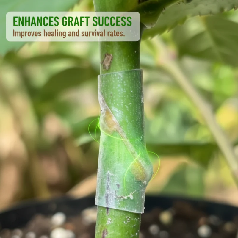 GraftGuard – Secure, Fast-Healing Grafting Covers for Larger Harvests - Image 5