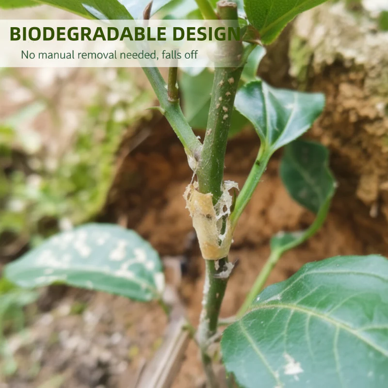 GraftGuard – Secure, Fast-Healing Grafting Covers for Larger Harvests - Image 6