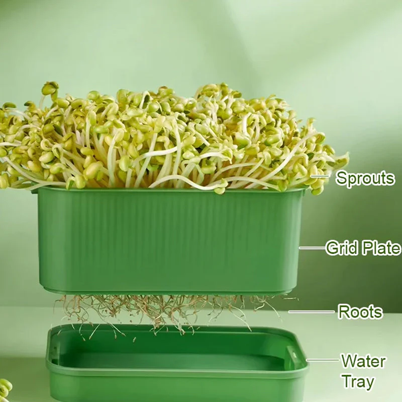 1+1 FREE | GreenBox – Fresh sprouts grown by yourself every day - Image 4