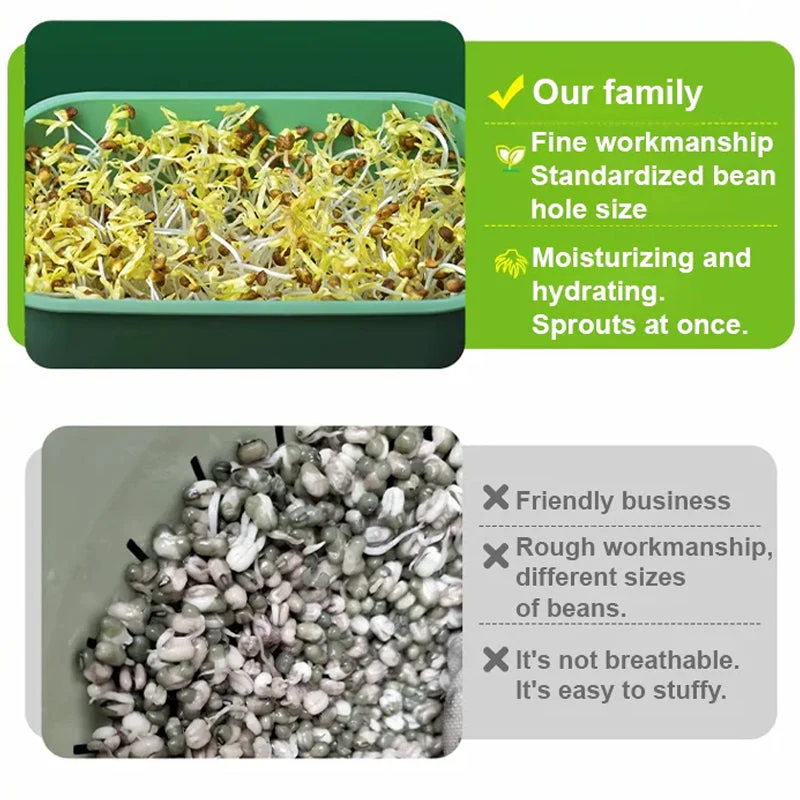 1+1 FREE | GreenBox – Fresh sprouts grown by yourself every day - Image 5