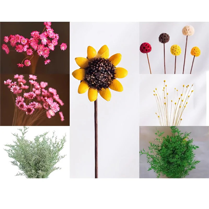 1+1 FREE | MagnaBloom – Instant Brightening of Any Metal Surface with Fresh Green - Image 11