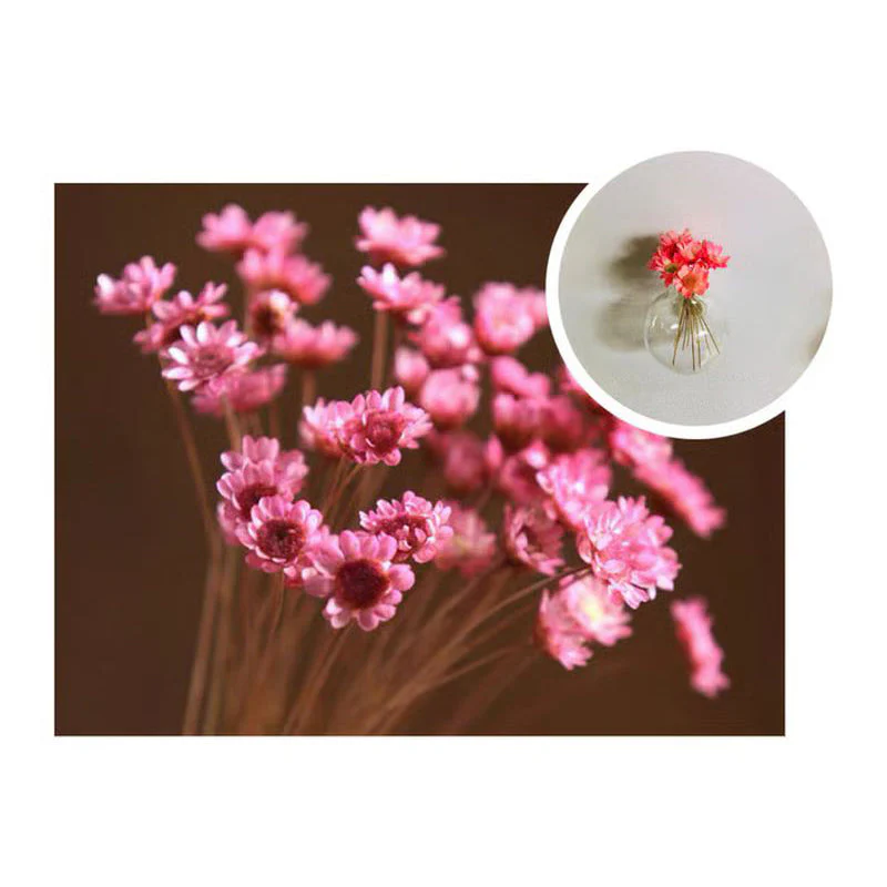 1+1 FREE | MagnaBloom – Instant Brightening of Any Metal Surface with Fresh Green - Image 12