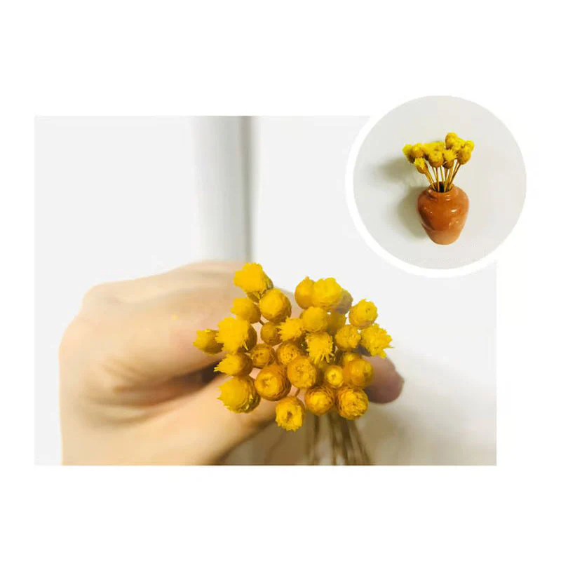 1+1 FREE | MagnaBloom – Instant Brightening of Any Metal Surface with Fresh Green - Image 13