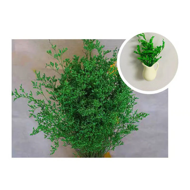 1+1 FREE | MagnaBloom – Instant Brightening of Any Metal Surface with Fresh Green - Image 14