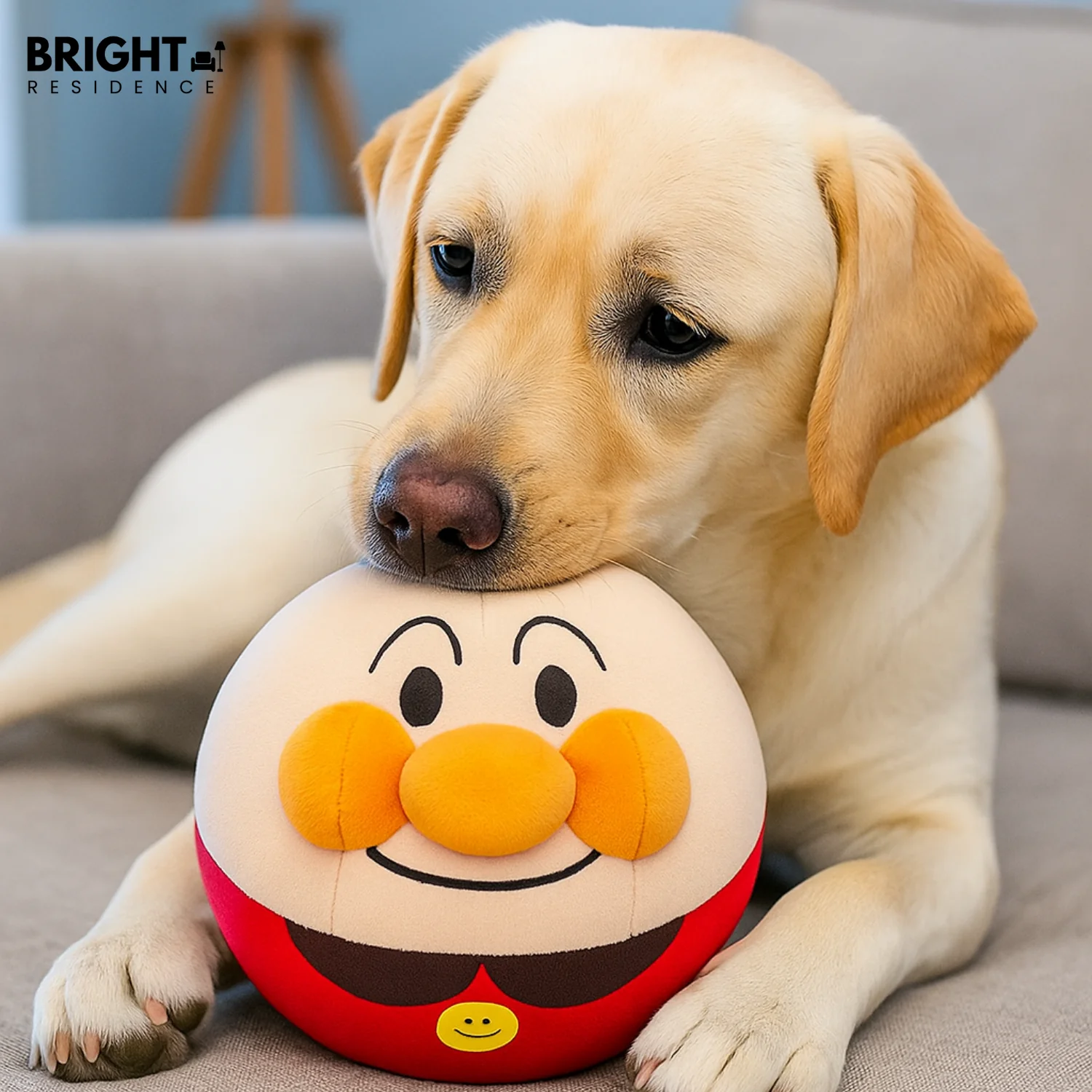 PawMotion - hours of play without boredom - Image 6