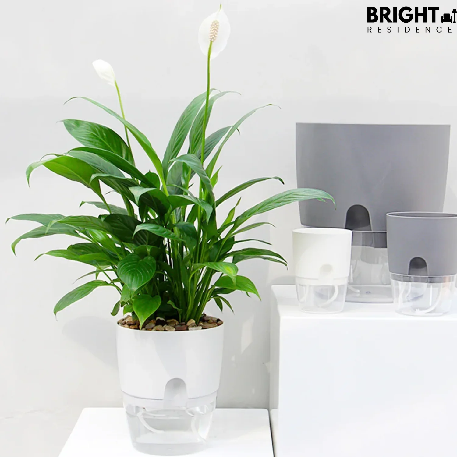 PlanterFlow™ - Self-watering planters - Image 11