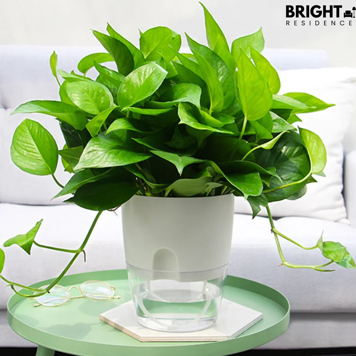 PlanterFlow™ - Self-watering planters - Image 3