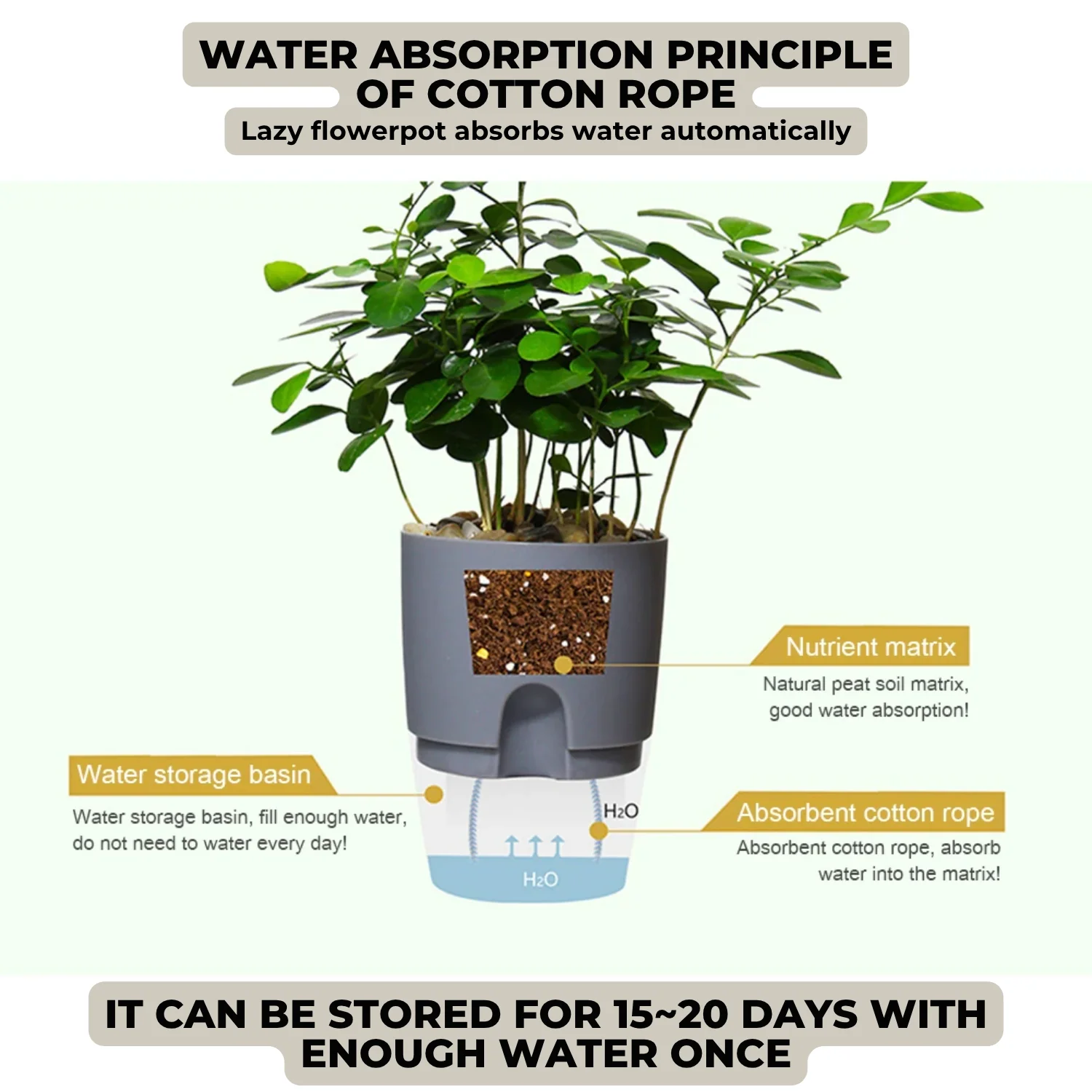 PlanterFlow™ - Self-watering planters - Image 7