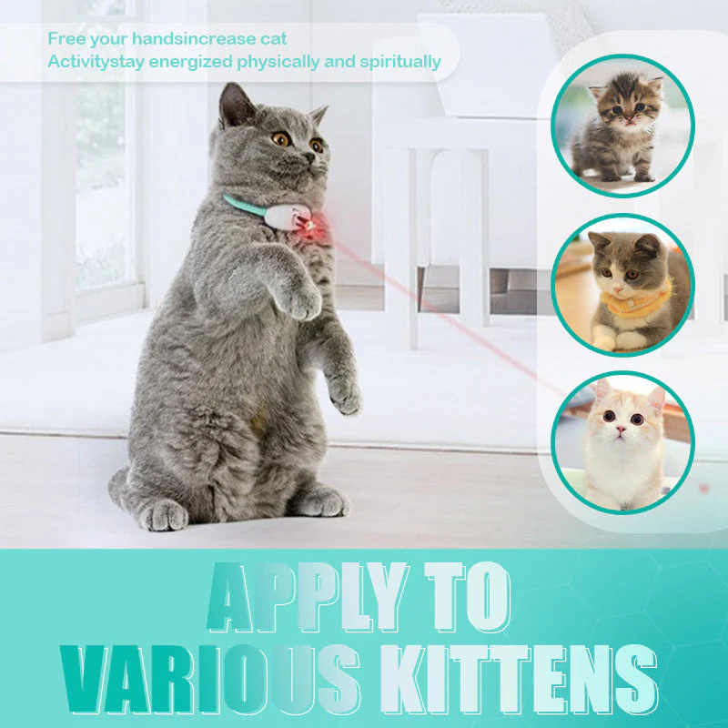 PurrActive – Keep Your Cat Healthy, Happy, and Energetic Every Day - Image 7