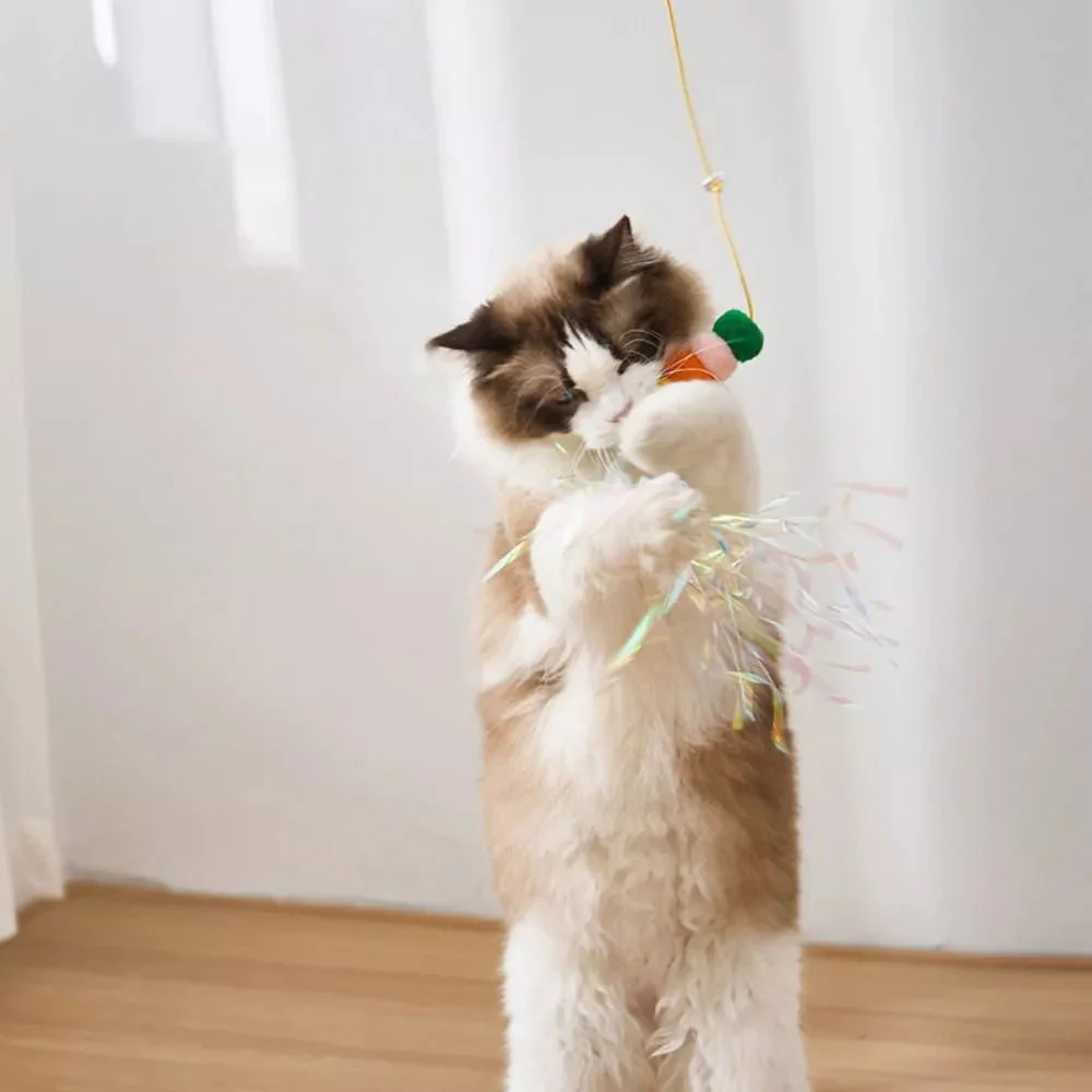 1+1 FREE | PurrPulse - Ignite Your Cat's Energy and End Boredom Immediately - Image 14