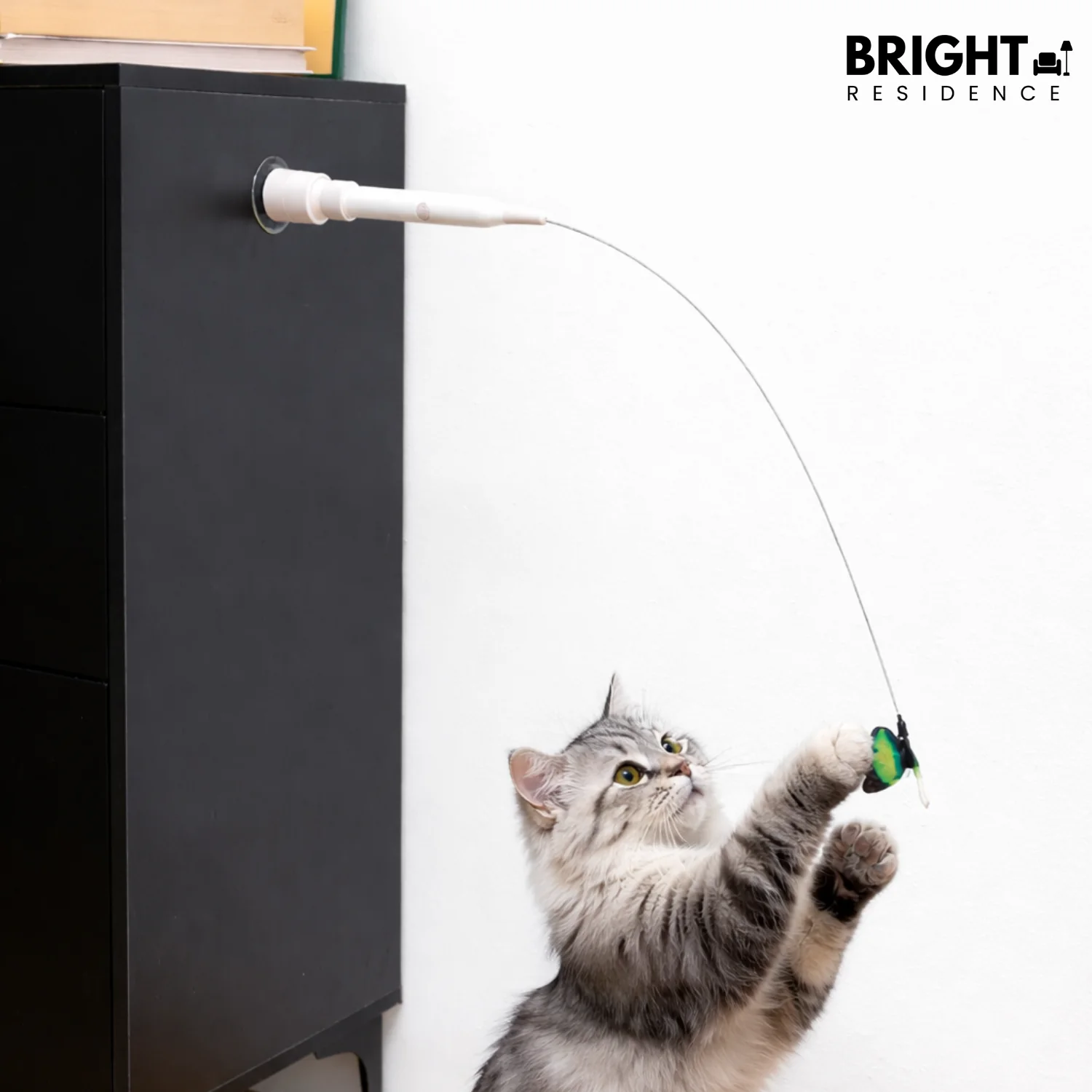 PurrVibe – Keep Your Cat Active, Happy, and Stress-Free Every Day - Image 7