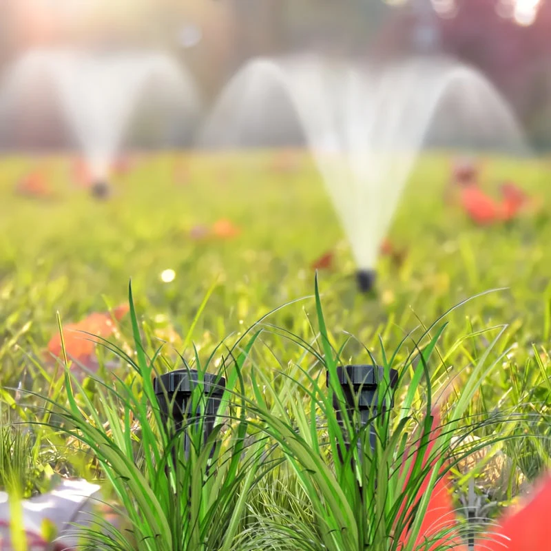 SafeSprout - Ultimate Waterproof Key Hider for Outdoor Security - Image 9