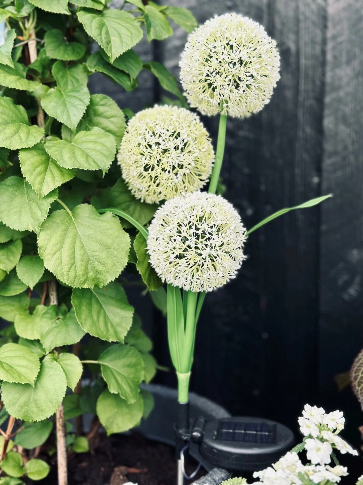 SolarBloom - Magical light for your garden - Image 4