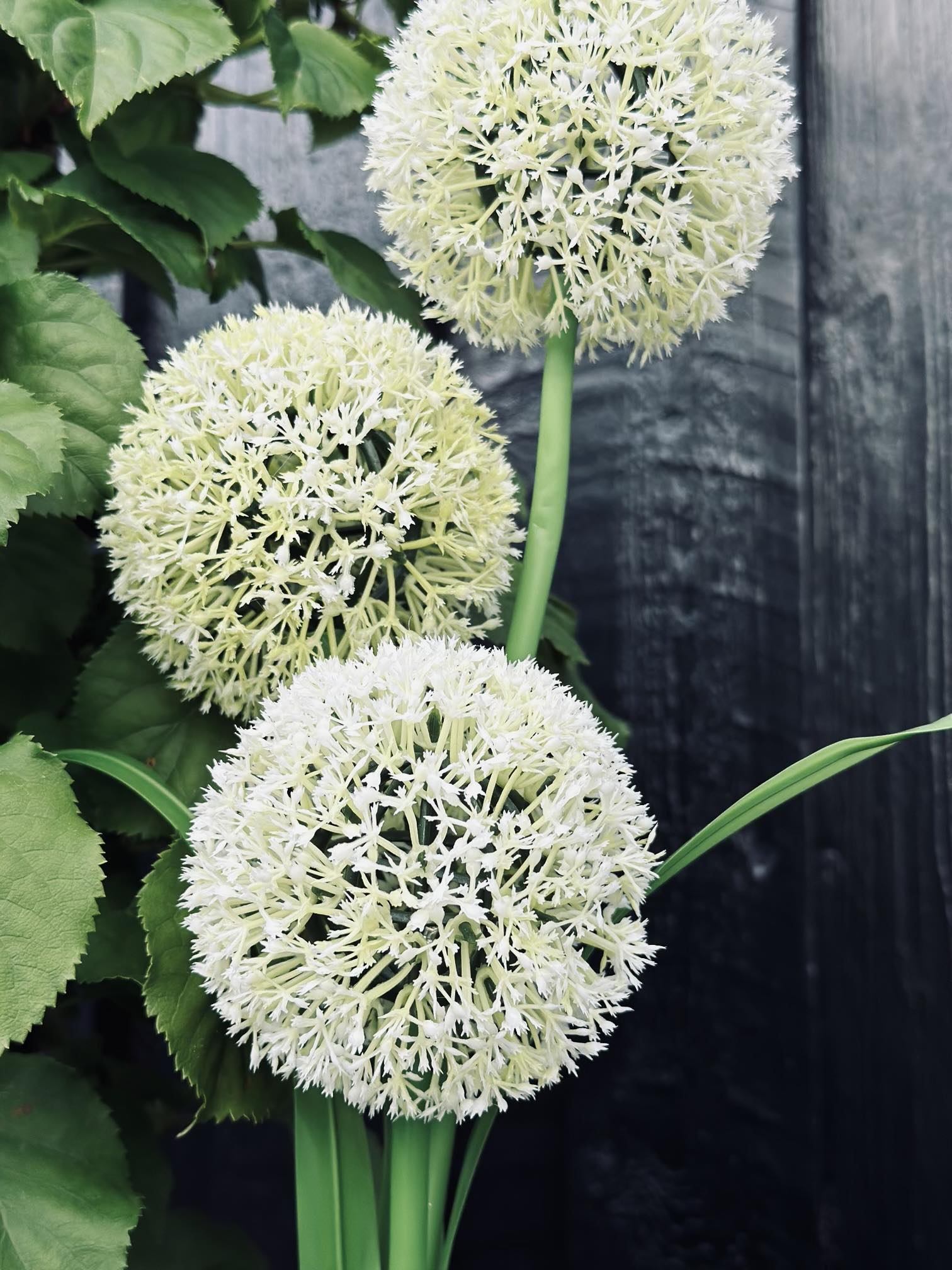 SolarBloom - Magical light for your garden - Image 5