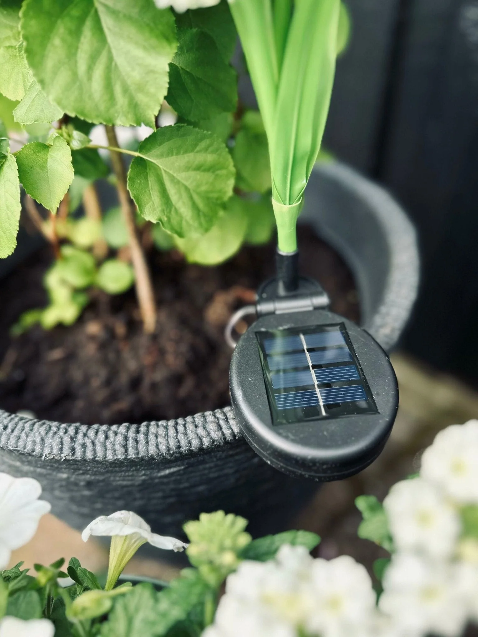 SolarBloom - Magical light for your garden - Image 7