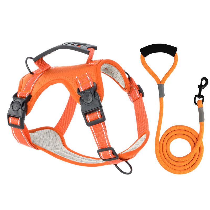 TailMate™ - The comfortable dog harness - Image 13