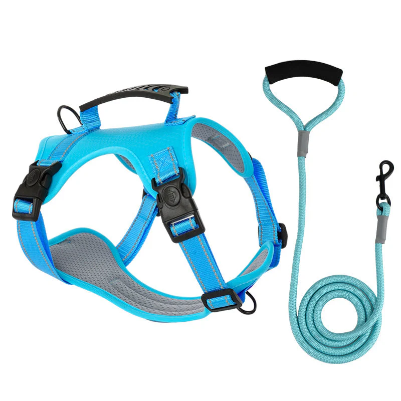 TailMate™ - The comfortable dog harness - Image 14