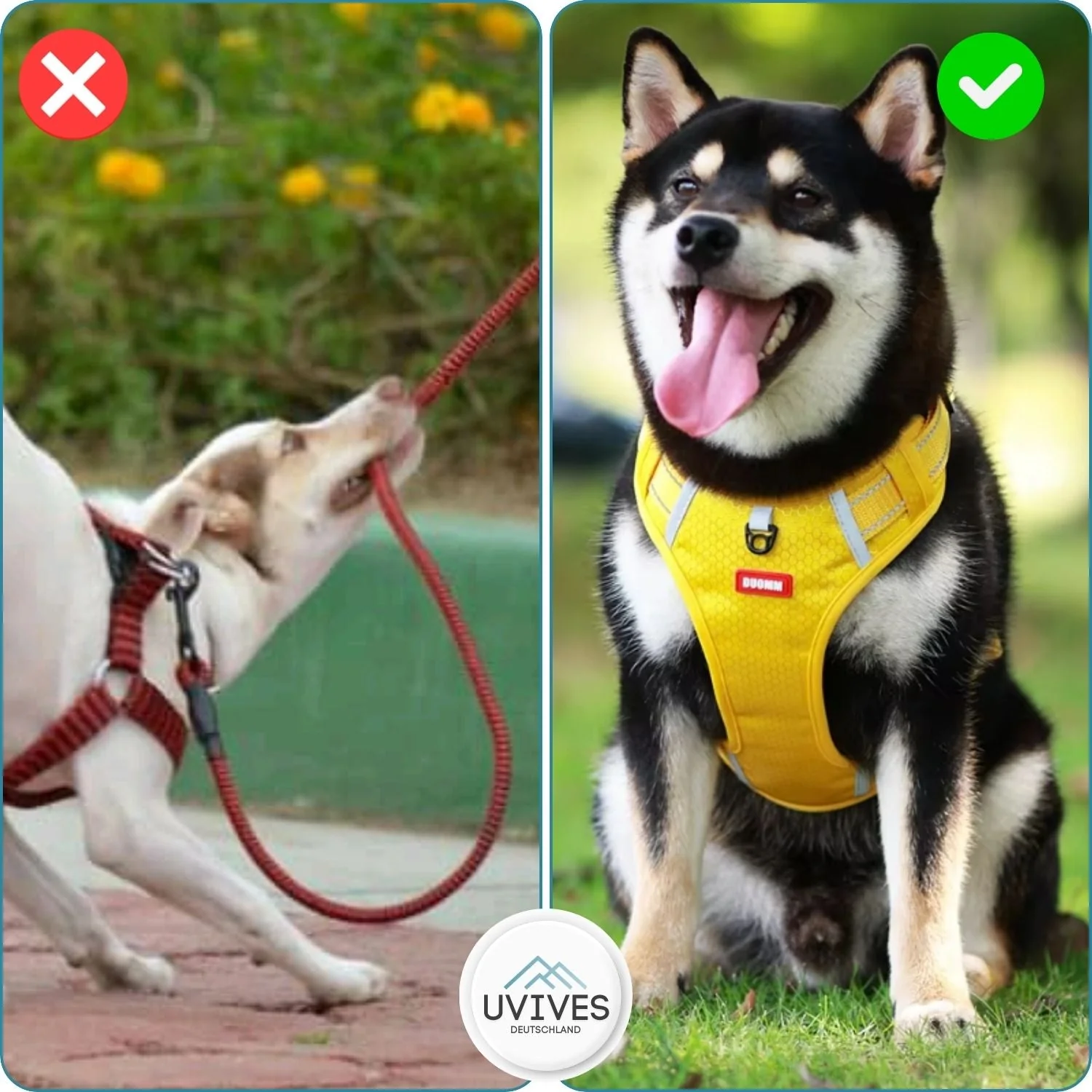 TailMate™ - The comfortable dog harness - Image 5