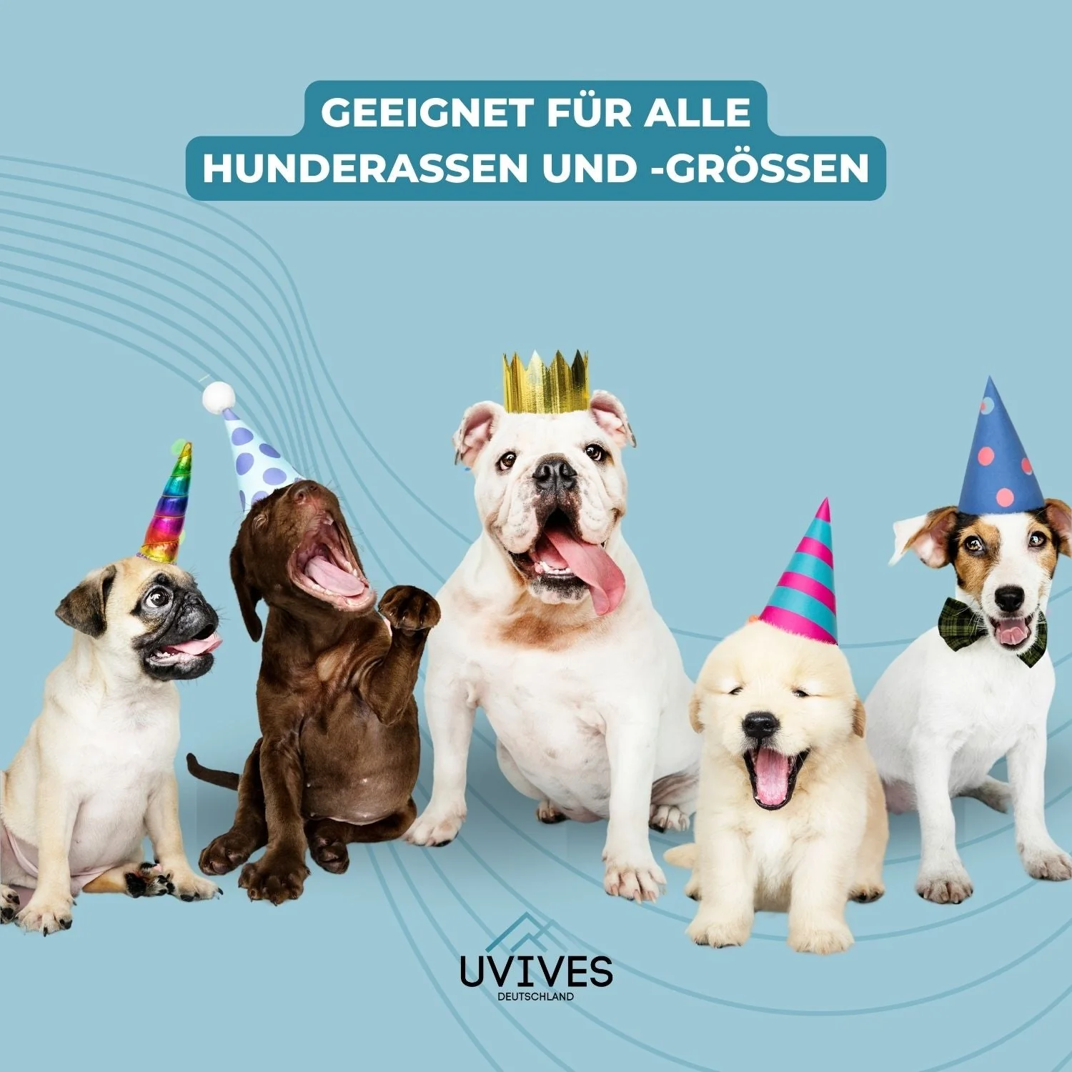 TailMate™ - The comfortable dog harness - Image 6