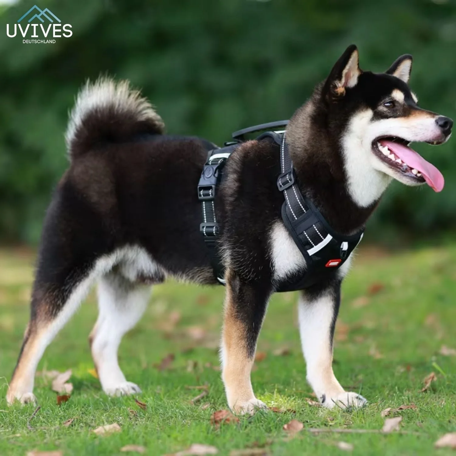 TailMate™ - The comfortable dog harness - Image 9