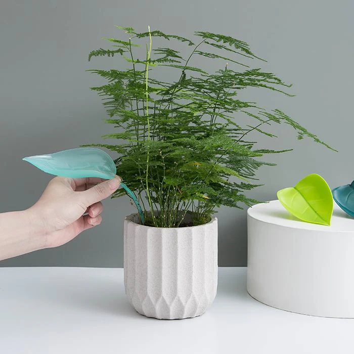 WateringLeave - Clean Water Plants Without Spilling or Mess, Every Time - Image 7